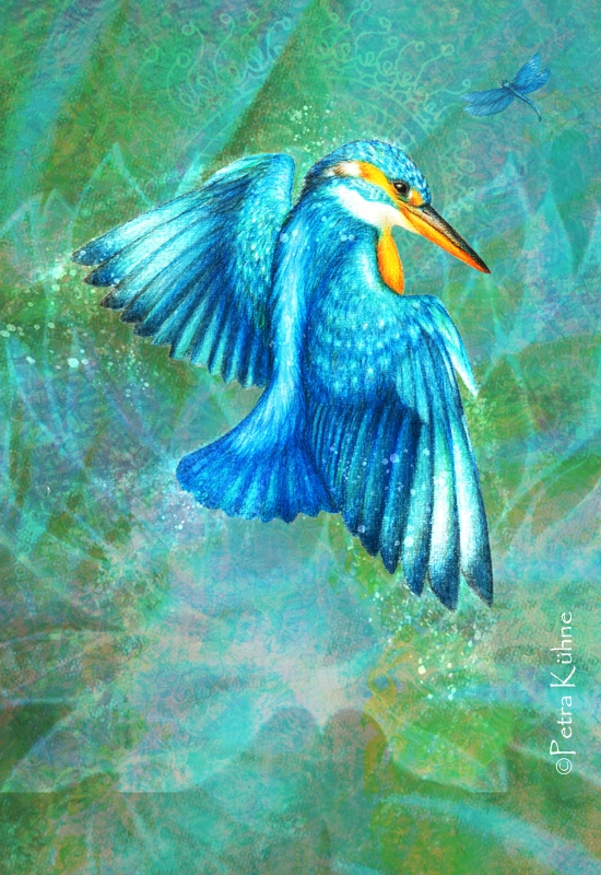 Eisvogel